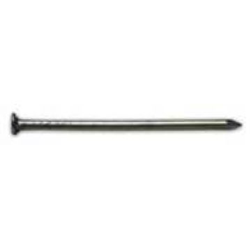 PREGO PONTA PARIS CABECA LARGA 18X8/8" (KG) - 0781.84