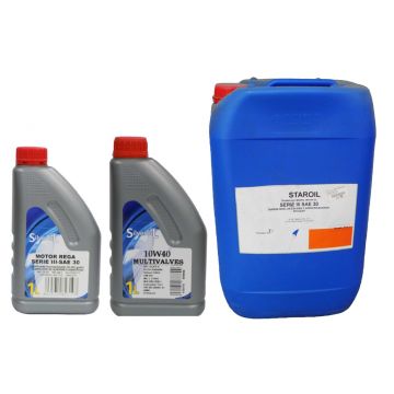 OLEO 4T MOTOR REGA 30/40 (1 LT) - 0107.16