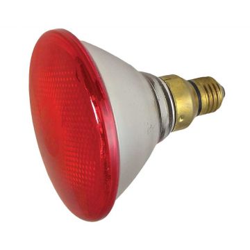 LAMPADA INFRAVERMELHOS P/PINTOS 100W - 0876.38