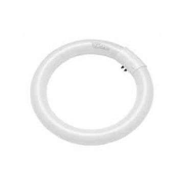 LAMPADA FLUORESCENTE CIRCULAR T9 32W - 0876.95