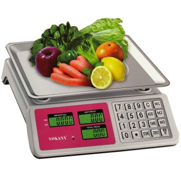 BALANCA DIGITAL 40KG INOX - 0579.29