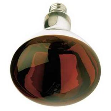 LAMP.INFRAVERMELHOS P/PINTOS PHILIPS - 0876.018