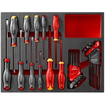 FACOM MODULO CHAVE PUNHO/CHAVE UMBRAK+TORX F50031049 - 0338.641